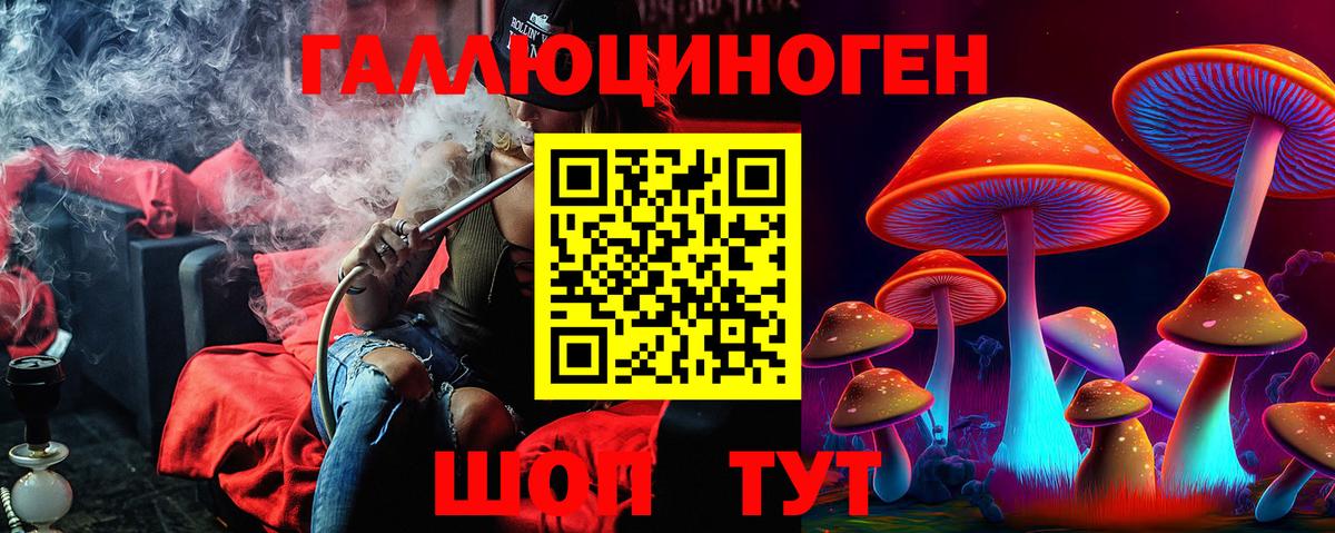 Галлюциногенные грибы ЛСД Губкинский